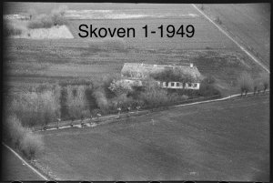Skoven 1 - 1949
