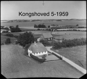 Kongshoved 5 -1959